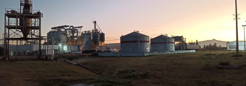 Planta en el corredor industrial de El Bajío, Silao